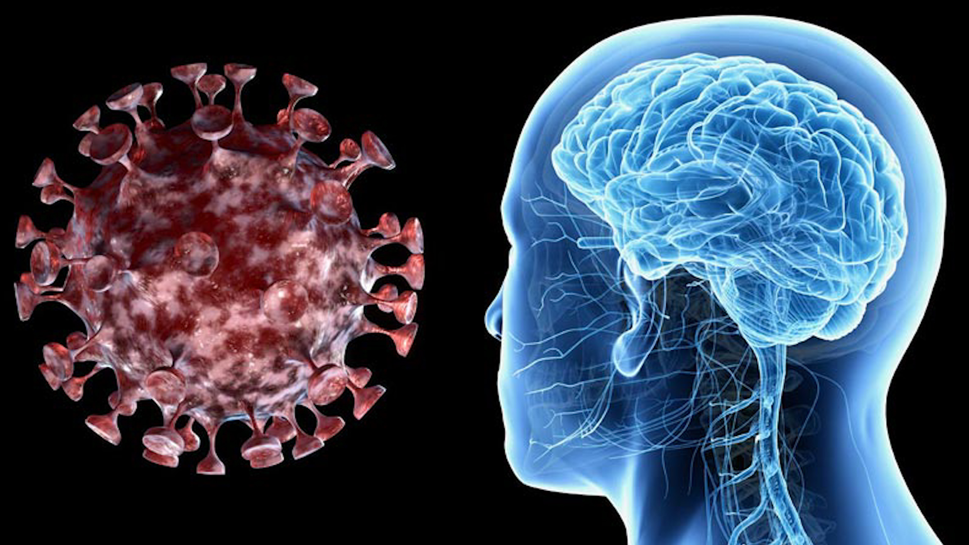 Ковид мозговой туман. Неврология мозг. Коронавирус влияет на мозг.