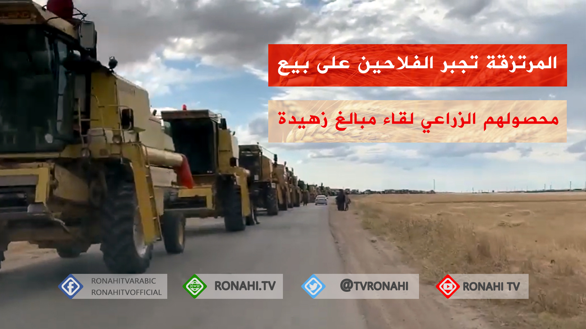 المجموعات المرتزقة تجبر الفلاحين على بيع محصولهم الزراعي لقاء مبالغ زهيدة