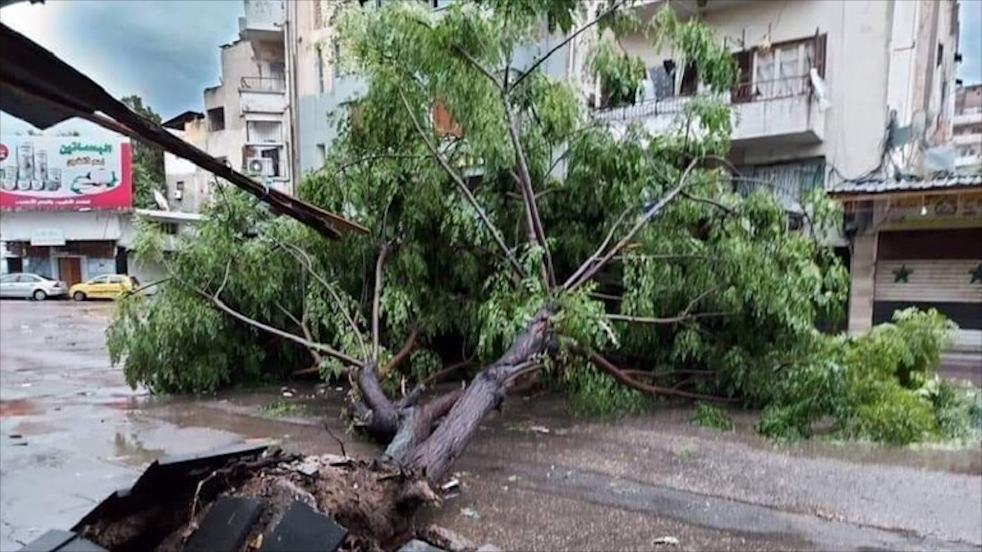 ضحايا وأضرار مادية نتيجة تعرض سوريا لعاصفة مطرية قوية