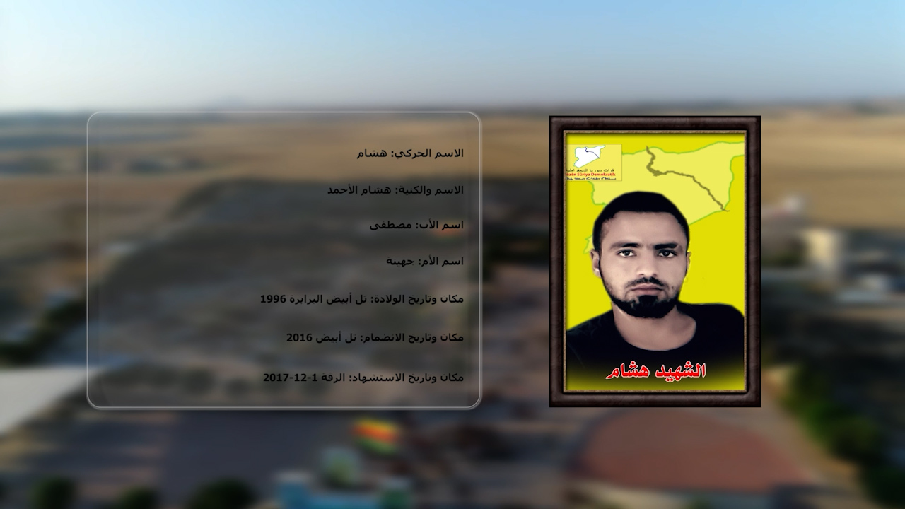 شهداء الحرية-الشهيد هشام