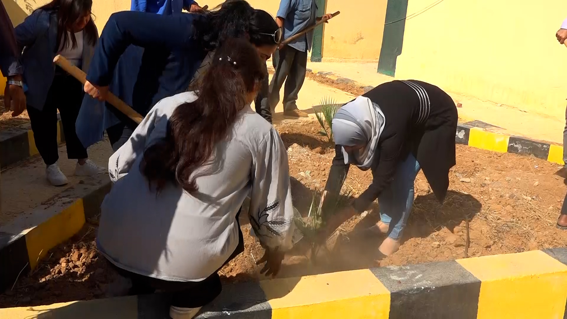 حفاظا على البيئة..هيئة التربية والتعليم في مقاطعة منبج تنظم حملة تشجير