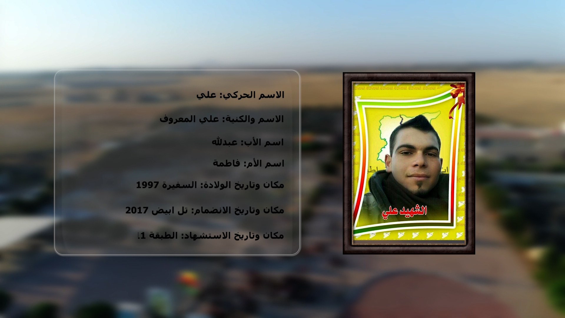 شهداء الحرية-الشهيد علي
