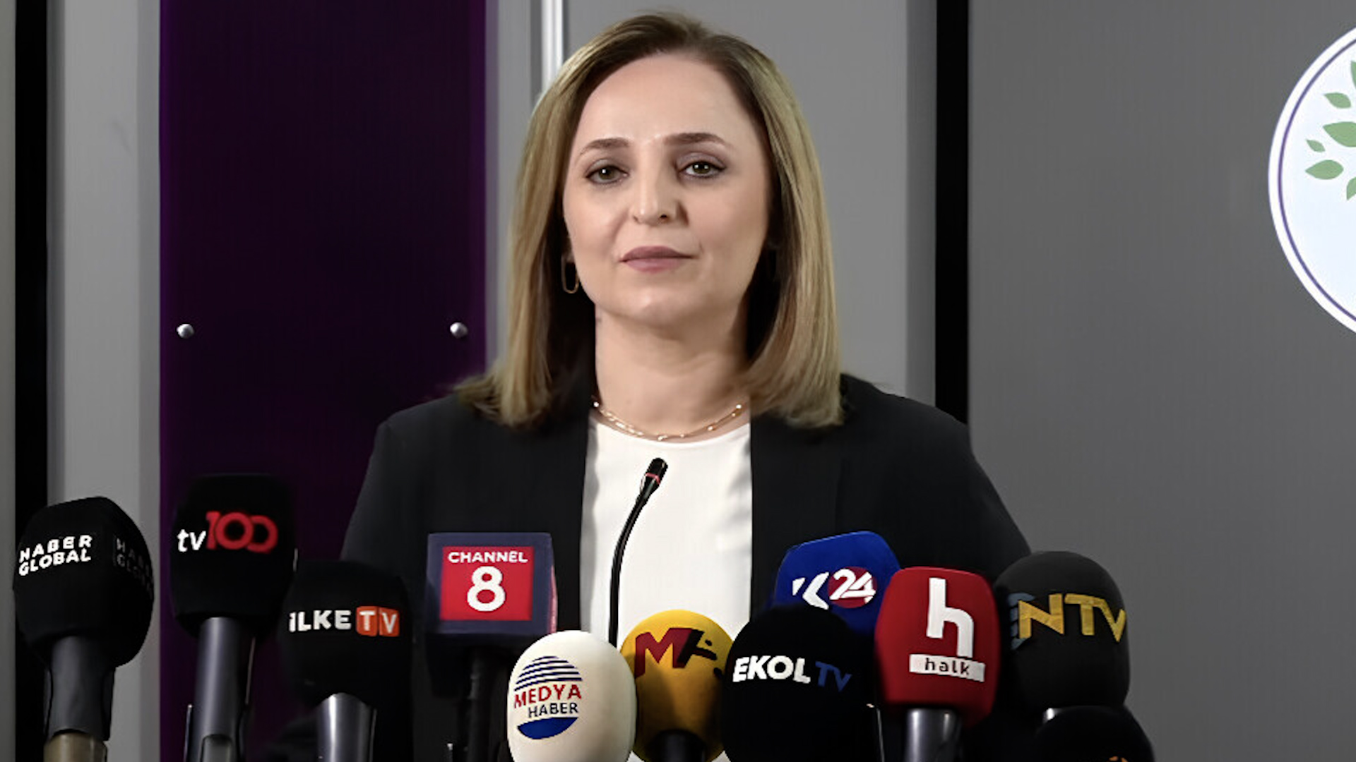 عائشة غول دوغان: ينبغي إنشاء لجنة داخل البرلمان التركي للقضاء التام على الأسلحة