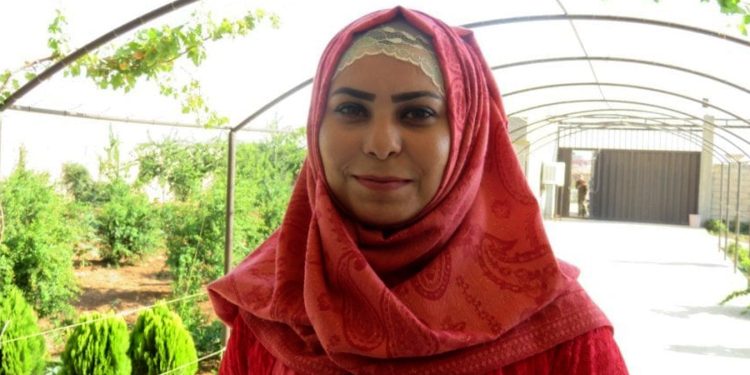 أمينة علي من العمل الإعلامي إلى صفوف المقاومة