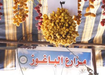 تحت شعار “حلاوة وطيب للياكل من تمرنا”..انطلاق مهرجان التمور الرابع في الباغوز