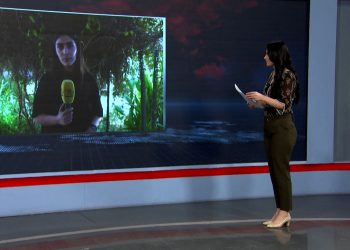 التمسك بحق العودة مع اقتراب الذكرى السنوية لاحتلال كري سبي/تل أبيض