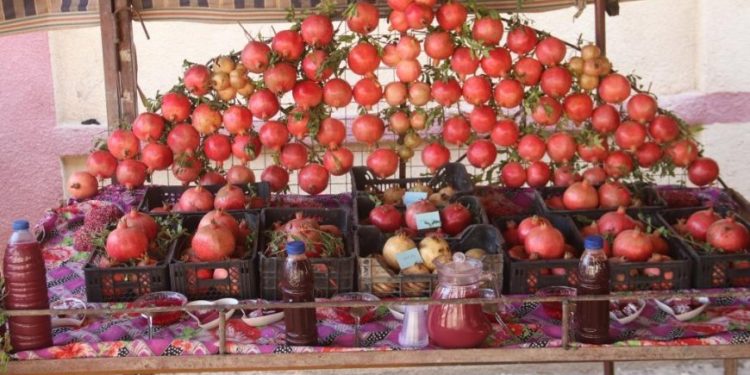 انطلاق مهرجان الرمان الخامس في ريف دير الزور