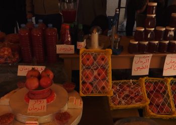 تحديات زراعة الرمان في بلدة السوسة وسط مطالبات بزيادة الدعم – تقرير: خديجة العبدالله