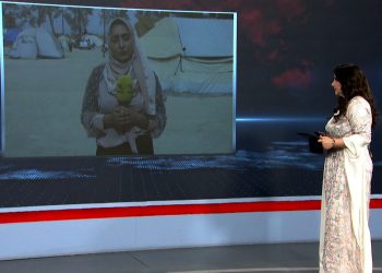 مهجرو عفرين ينددون بعمليات السرقة لمحصول الزيتون في عفرين المحتلة