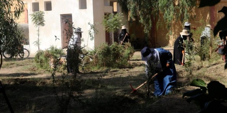 مبادرة تطوعية لتحسين الواقع الخدمي والبيئي في مقاطعة دير الزور