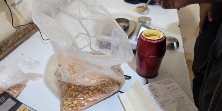 نقلة نوعية في دعم القطاع الزراعي في الرقة..بدء تشغيل مجفف الذرة