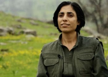 بيمان فيان: مخططات خطيرة في الشرق الأوسط ووحدة الكرد ضرورة وجودية