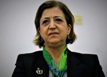 سينم محمد: حماية حقوق الكرد ضرورة أمنية لاستقرار سوريا