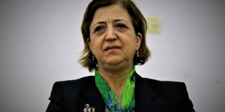 سينم محمد: حماية حقوق الكرد ضرورة أمنية لاستقرار سوريا