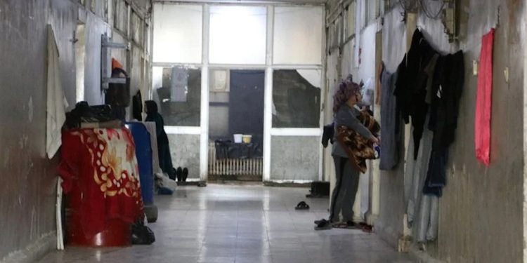 مهجرو عفرين يجددون في الأعياد حلم العودة وزراعة الزيتون
