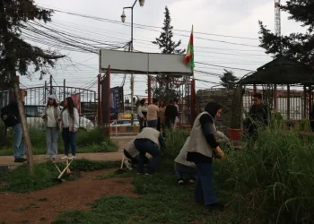 مبادرة بيئية لزراعة 47 شجرة في حديقة “آري”