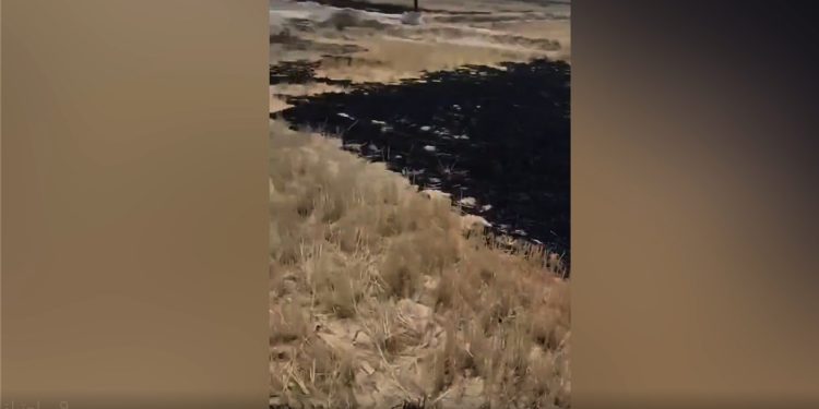 احتراق أول حقل قمح في الموسم الحالي بريف دير الزور