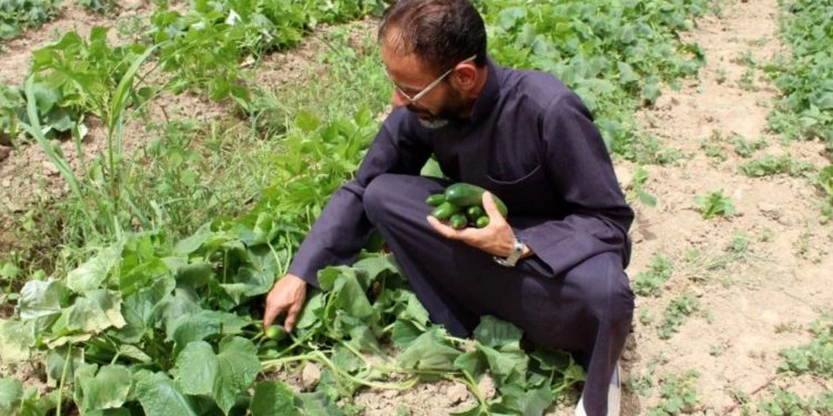 الفاو تطلق مشروعا بـخمسة ملايين دولار لدعم الأمن الغذائي في شمال شرق سوريا