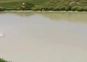 السلمية.. تسرب مياه الصرف الصحي إلى مصادر المياه الجوفية يسبب أمراض معوية بين السكان