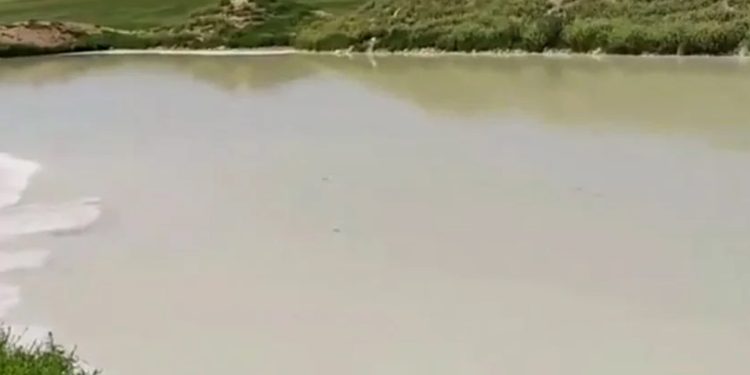 السلمية.. تسرب مياه الصرف الصحي إلى مصادر المياه الجوفية يسبب أمراض معوية بين السكان