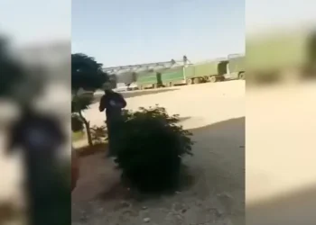 اتهامات بفساد وتجاوزات في صوامع الحبوب بالرقة