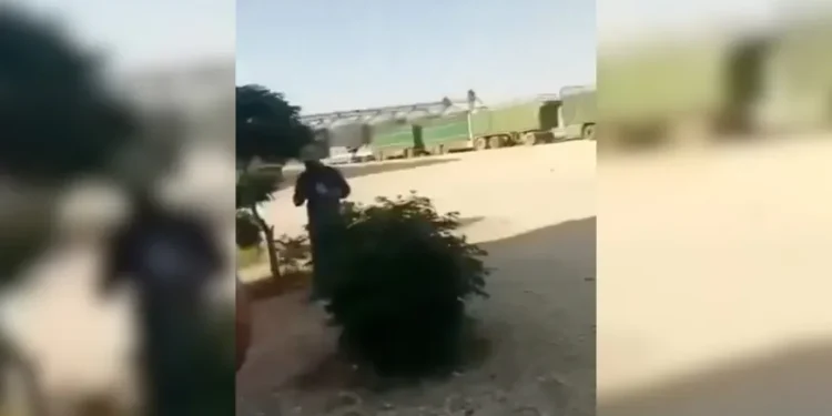 اتهامات بفساد وتجاوزات في صوامع الحبوب بالرقة