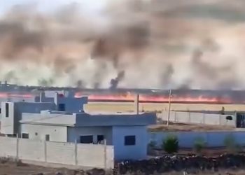 احتراق 10 دونمات من الشعير بريف كوباني