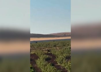 رشقات نارية من الجندرمة التركية تستهدف قرية غرب كوباني