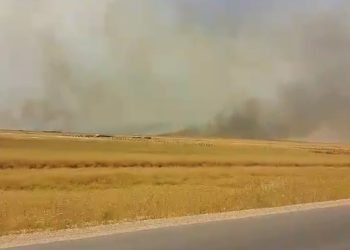اندلاع حريق في جبل بريف عفرين وسط مناشدات لإخماده