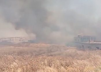 اندلاع حريق في قرية مشراق بريف الدرباسية وإتلاف أربعين دونماً من القمح