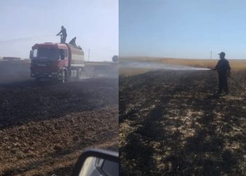 إخماد عدة حرائق في محاصيل القمح والزيتون جنوب وغرب تل تمر
