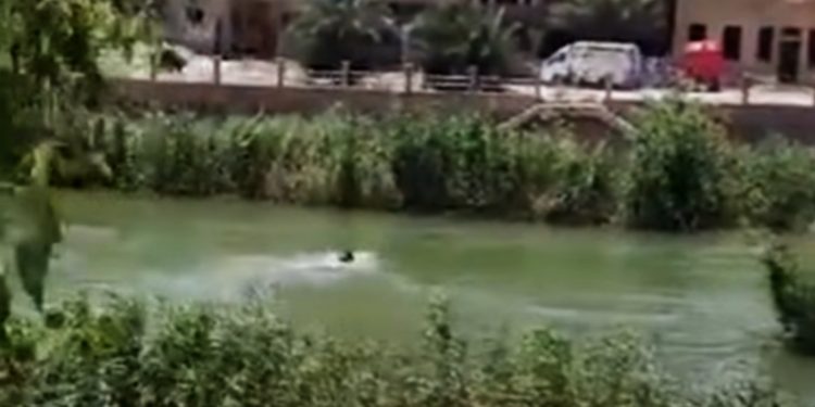غرق طفلتين عند منطقة الحويقة بدير الزور وإنقاذ طفل ثالث