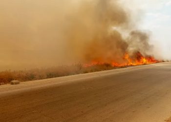 حريق يلتهم أراض زراعية جنوب تل تمر وسط التسبب في توقف الحركة على طريق تل تمر – الحسكة