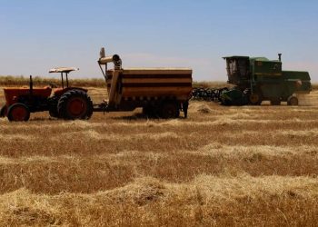 أصحاب الحصادات يطالبون بصرف مستحقاتهم من المازوت المدعوم