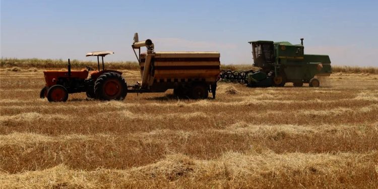 أصحاب الحصادات يطالبون بصرف مستحقاتهم من المازوت المدعوم