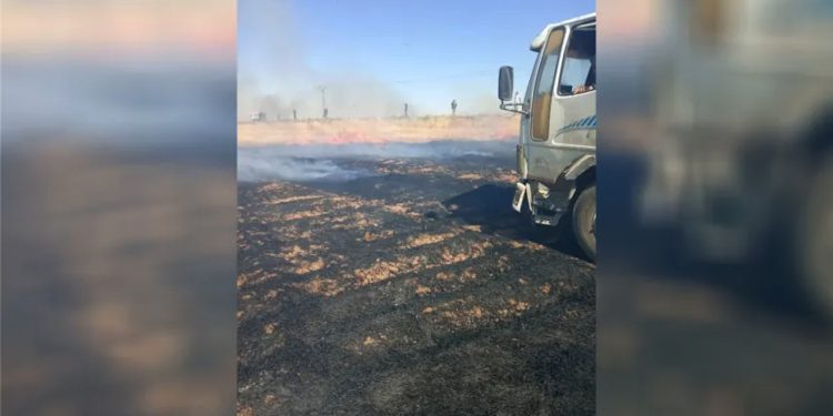 إخماد حريق في محصول القمح والفراز بريف الدرباسية