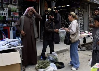 أهالي ريف الحسكة يتوجه إلى العمل في جمع النباتات العطرية والبرية الموسمية