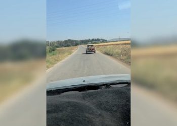 عفرين تشهد تراجعا بيئيا متواصلا مع استمرار عمليات قطع الأشجار