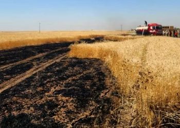 إخماد حريق في محصول قمح شمال جل آغا