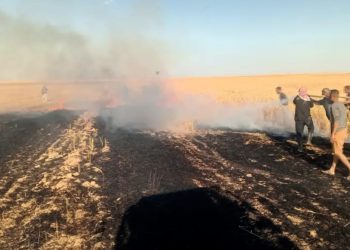 الحسكة..احتراق نحو 200 دونم من محصول القمح في قرية كبكا