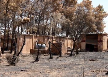 عودة تدريجية إلى قرى زركان وتل تمر وسط دمار واسع ونقص في الخدمات