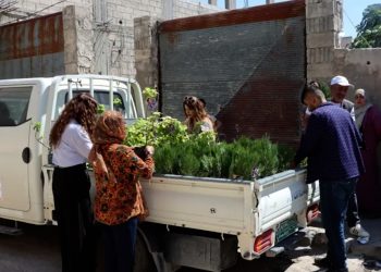توزيع أشجار زينة في حي “كانيا كوردا” تخليداً لذكرى الشهيدة روجنك جودي