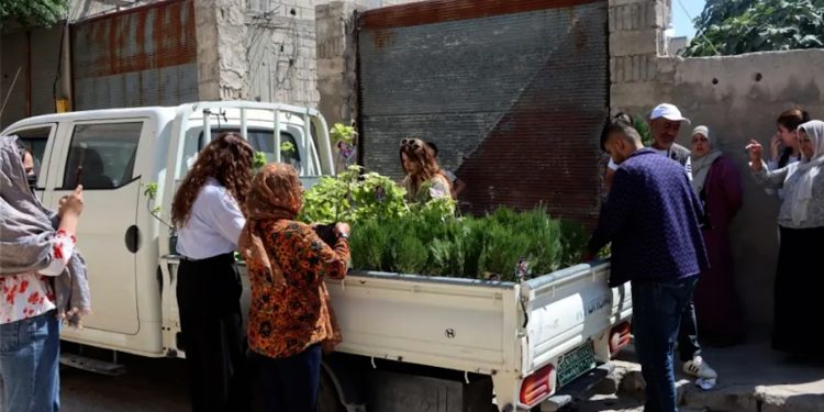 توزيع أشجار زينة في حي “كانيا كوردا” تخليداً لذكرى الشهيدة روجنك جودي
