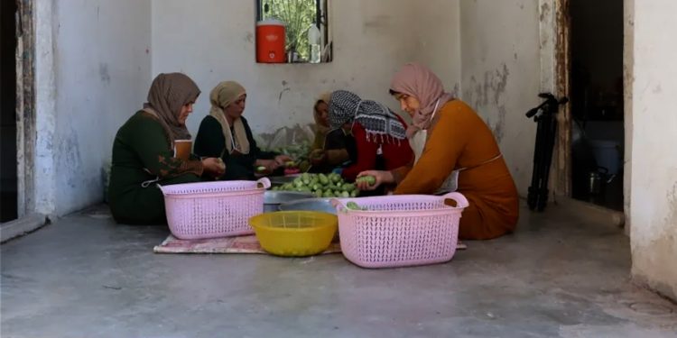 لتمكين المرأة في كوباني..مؤتمر ستار يفتتح مشروع “بيت المونة”