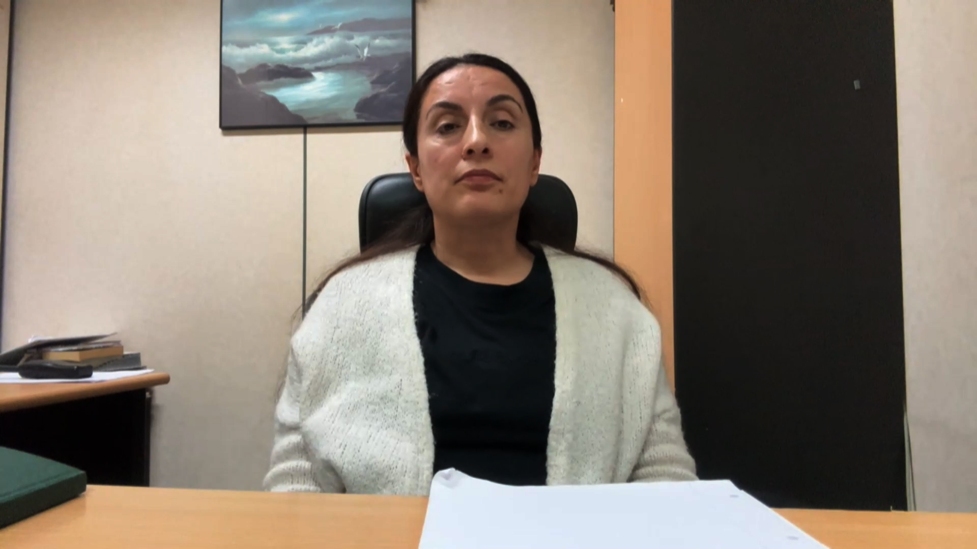 Geşbûn Kara: Di serdagirtina polîsan de gelek bêrêzî hate kirin