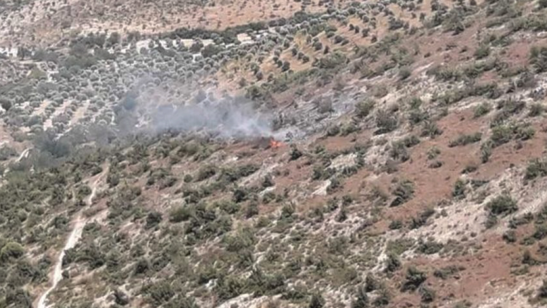Dagirker xwezaya Efrînê dişewitînin