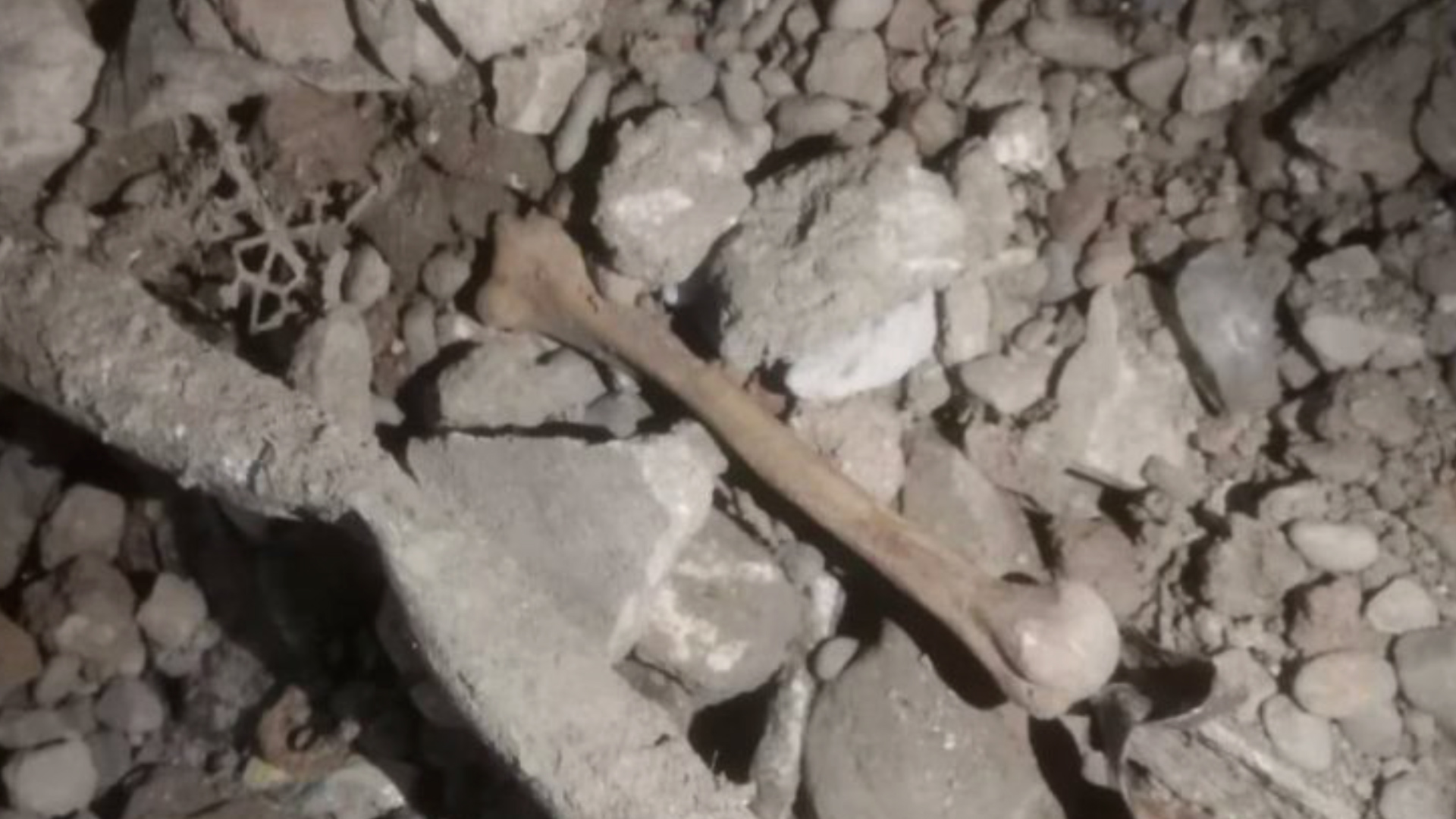 Li Nînowayê gorek komî hate dîtin