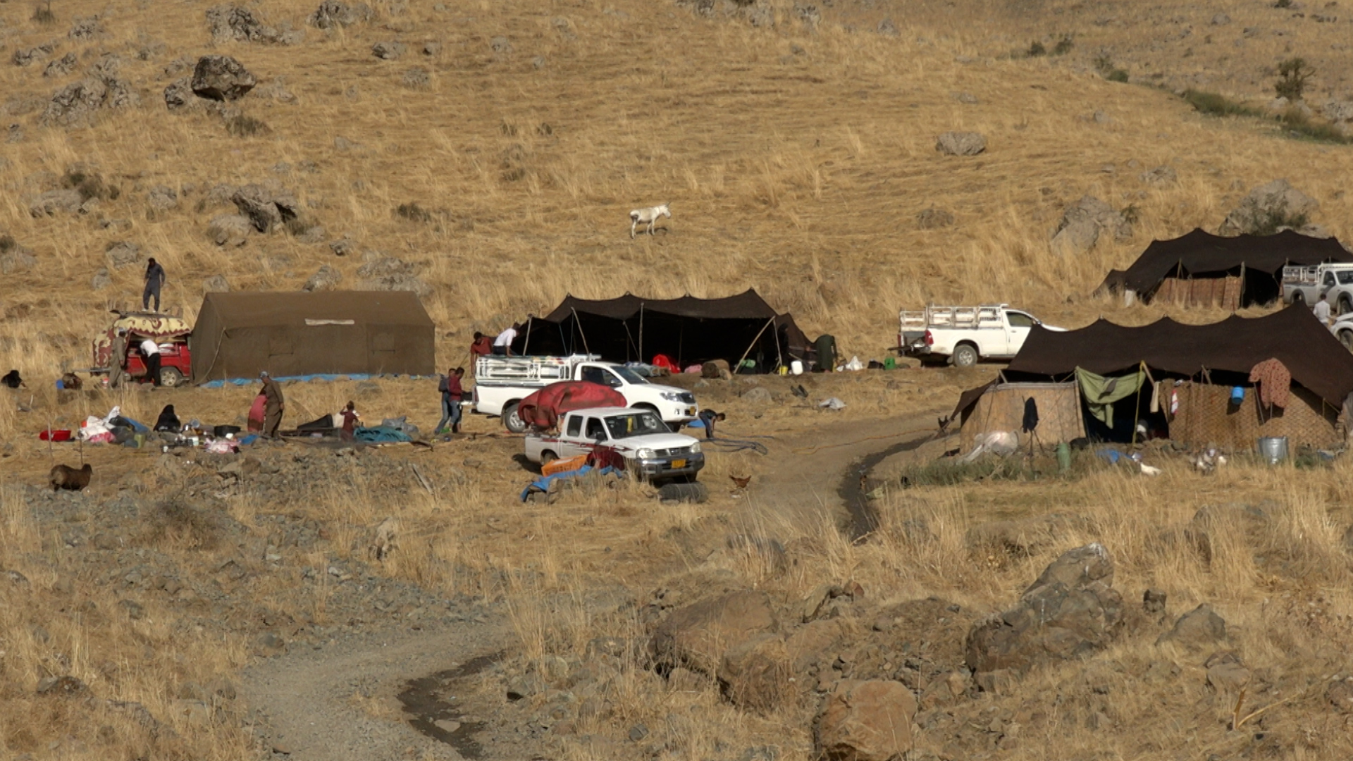Ji ber bombebaranên dewleta Tirk, koçerên li Biradostê zozanên xwe berdidin