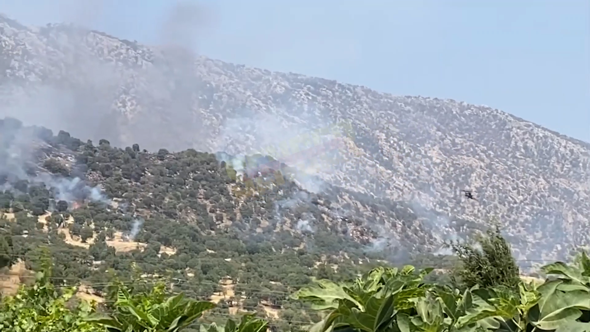Ji ber êrişên Tirkiyê agir bi gundê Guherzê ya ser bi Amêdiyê ve ket