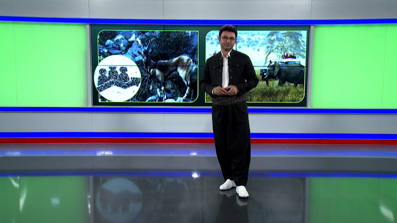 EKOLOJÎ-Hîba Ferman